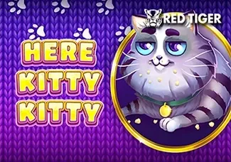 Here Kitty Kitty game cover