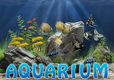 Aquarium HD game cover